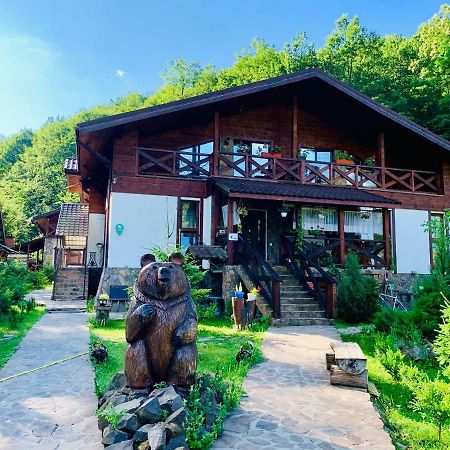 Chalet Vedmezhe โปลยานา ภายนอก รูปภาพ