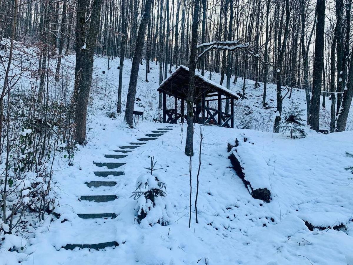 Chalet Vedmezhe โปลยานา ภายนอก รูปภาพ