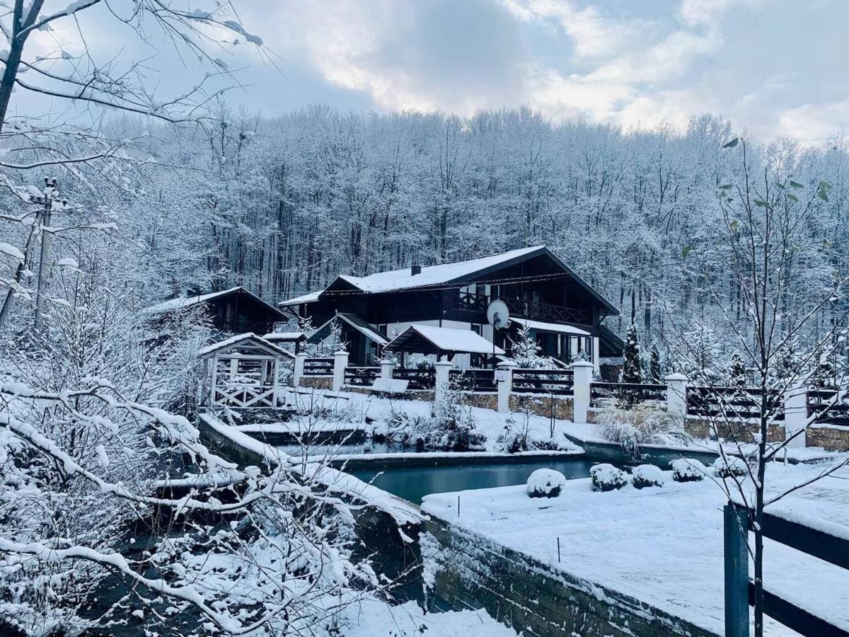 Chalet Vedmezhe โปลยานา ภายนอก รูปภาพ