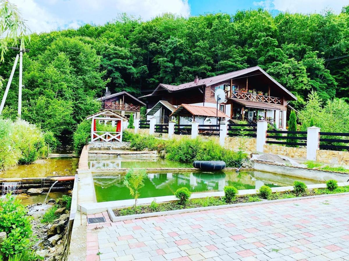 Chalet Vedmezhe โปลยานา ภายนอก รูปภาพ