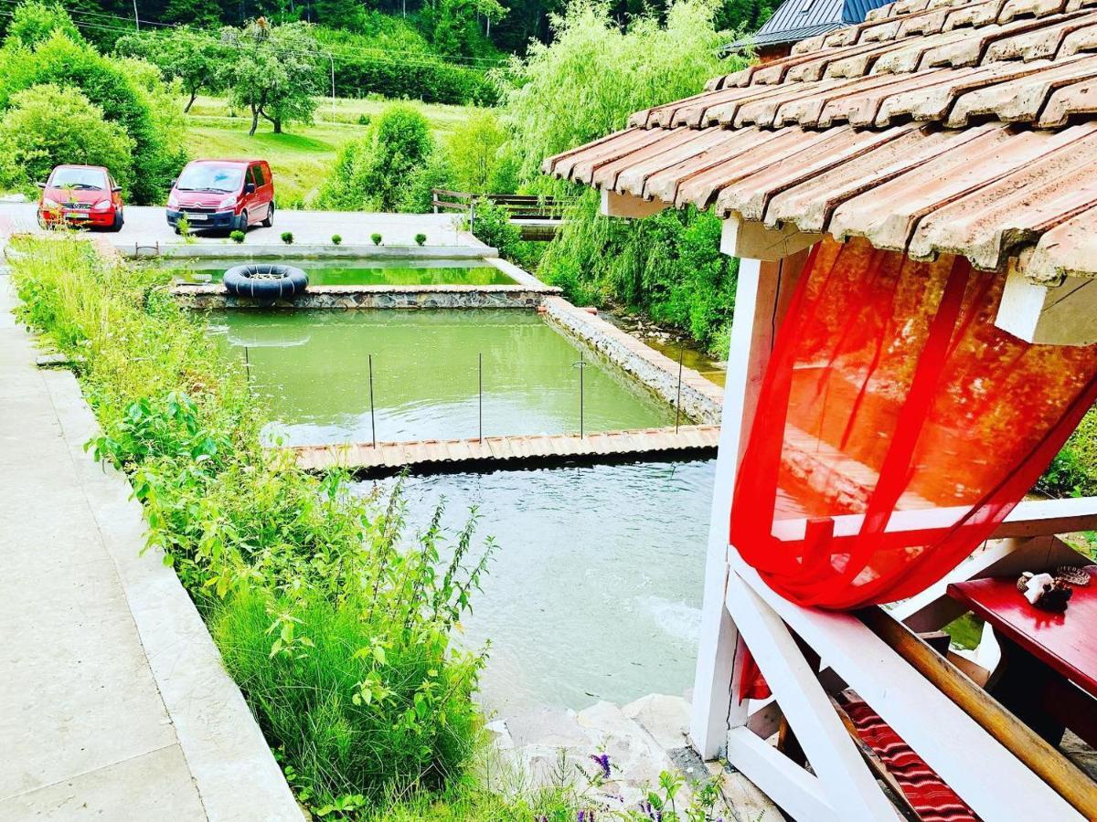 Chalet Vedmezhe โปลยานา ภายนอก รูปภาพ